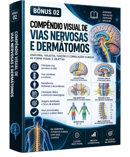 Bônus 02 - Compêndio Visual de Vias Nervosas e Dermátomos
